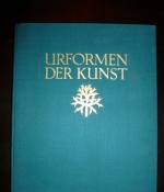 Urformen der Kunst. Photographische Pflanzenbilder.